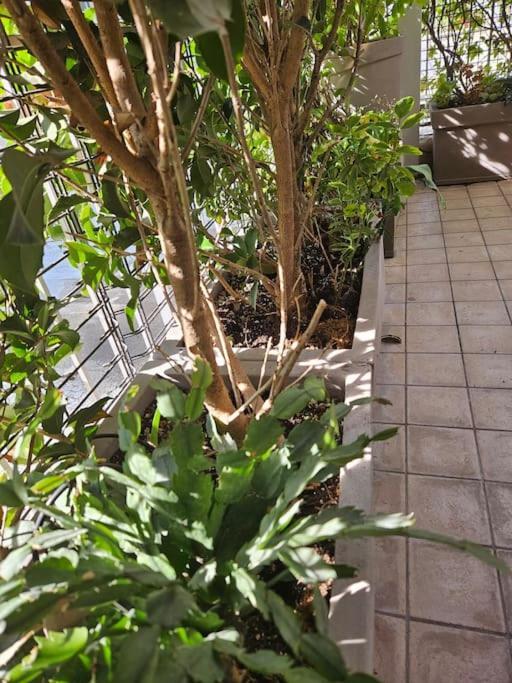 Two Bedrooms Design In The Heart Of Padua Appartamento *
