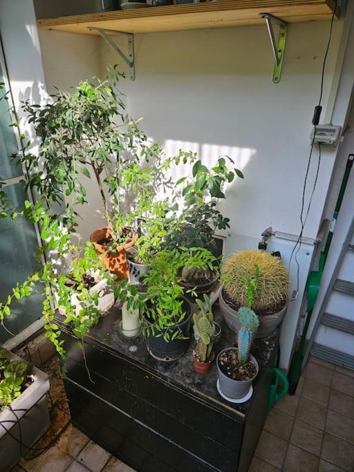 Two Bedrooms Design In The Heart Of Padua